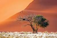 Sossusvlei, Namib Naukluft Park