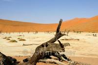 Deadvlei, Namib Naukluft Park