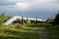 Trans Alaska Pipeline